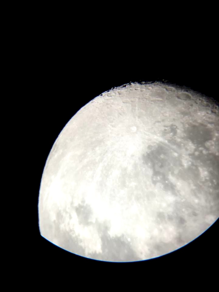 11755785_10102105537462956_4520080708317621019_n