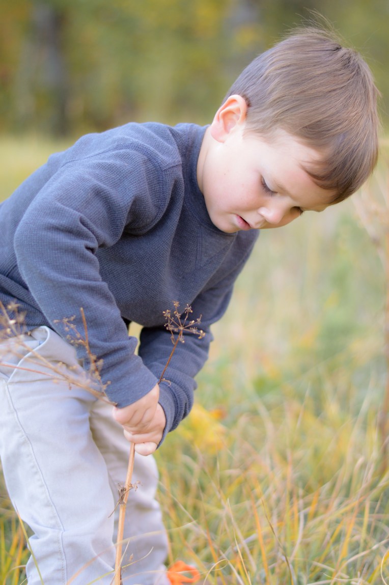 Dickson Family 2015 Edited (Client Pics Color)-39