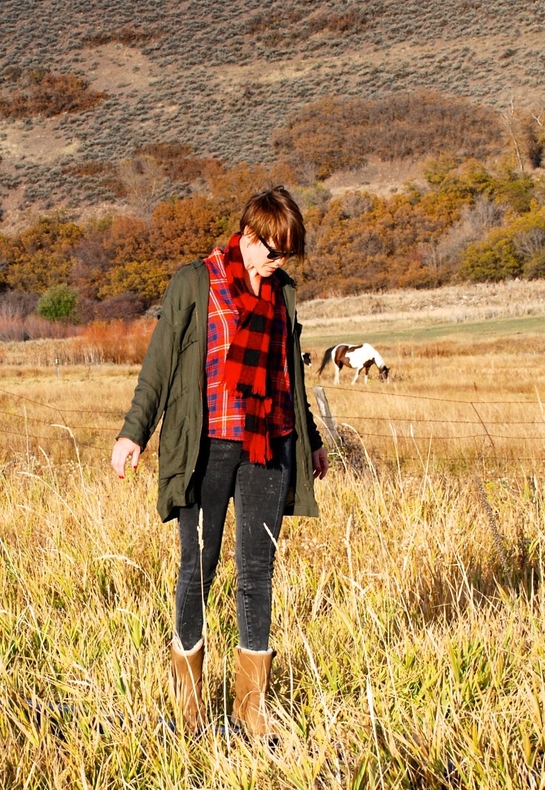 DSC_0133 - Version 2