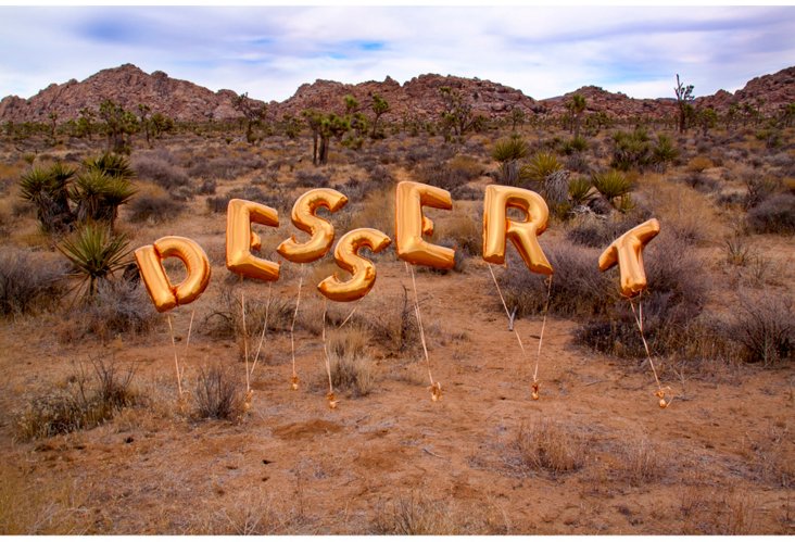 Product_GMP10152_Image_1